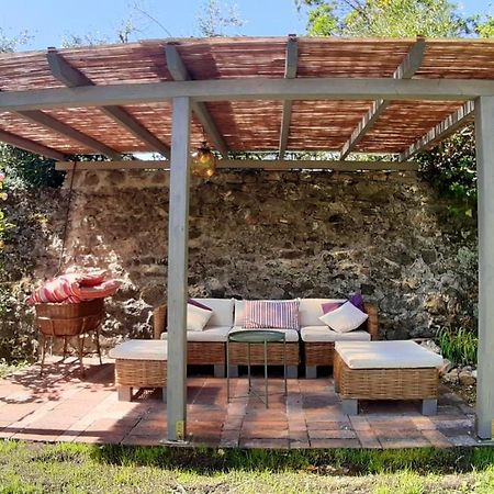 Radicondoli Casa Di Leo With Poolヴィラ エクステリア 写真